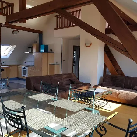 Ferienwohnung Chaleureux Duplex En Alsace Mülhausen Exterior foto