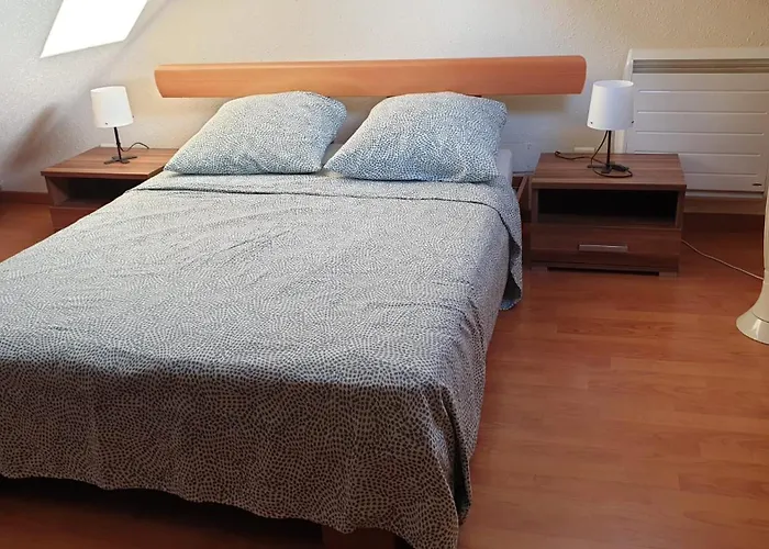 Chaleureux Duplex En Alsace