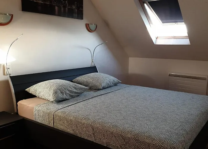 Chaleureux Duplex En Alsace