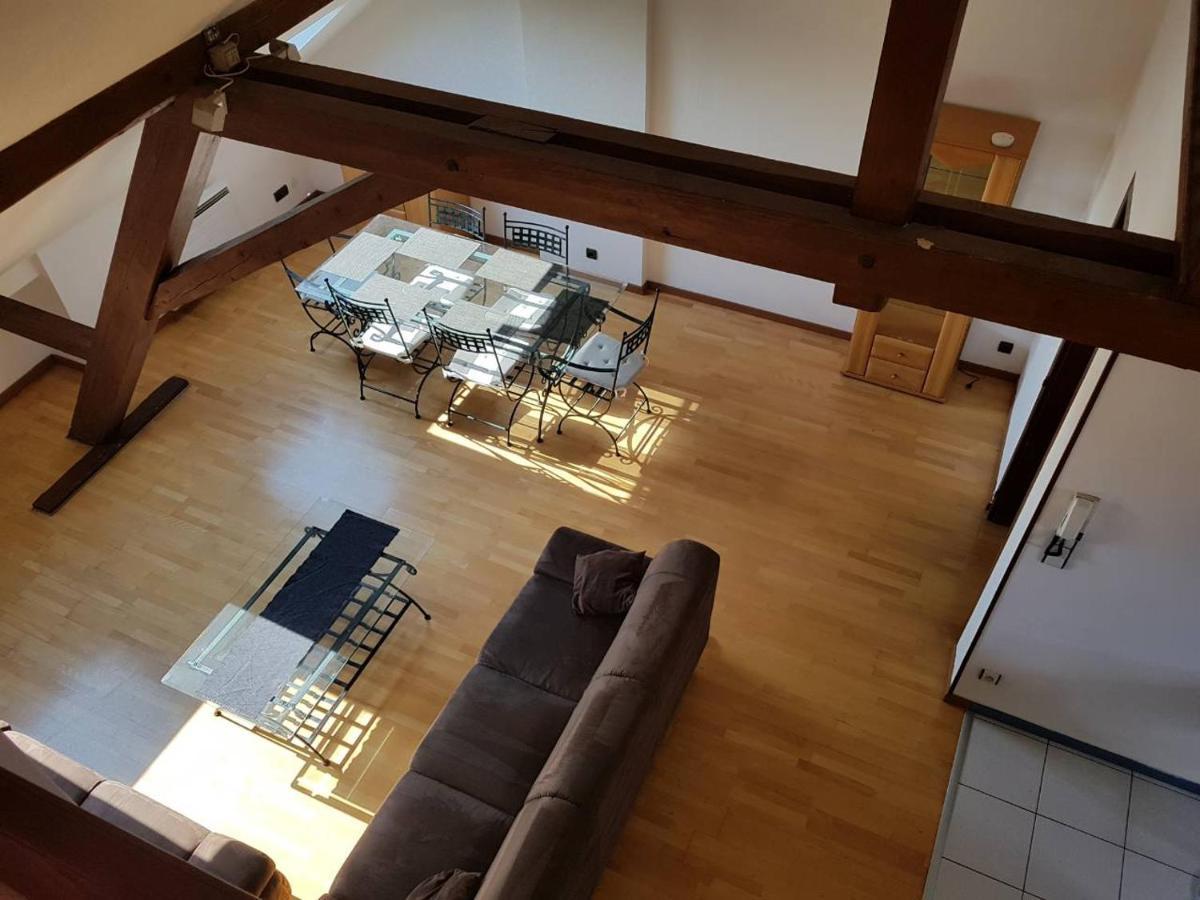 Apartment Chaleureux Duplex En Alsace *