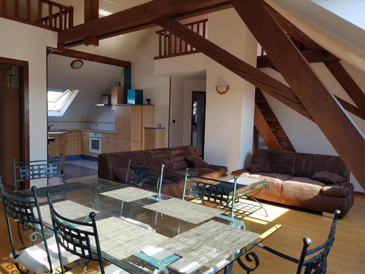Apartment Chaleureux Duplex En Alsace