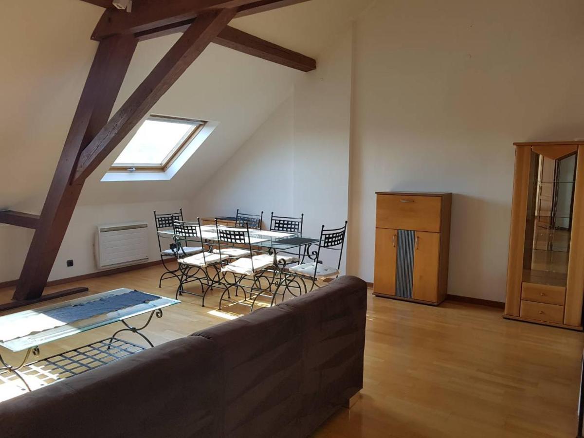 Chaleureux Duplex En Alsace Apartment *