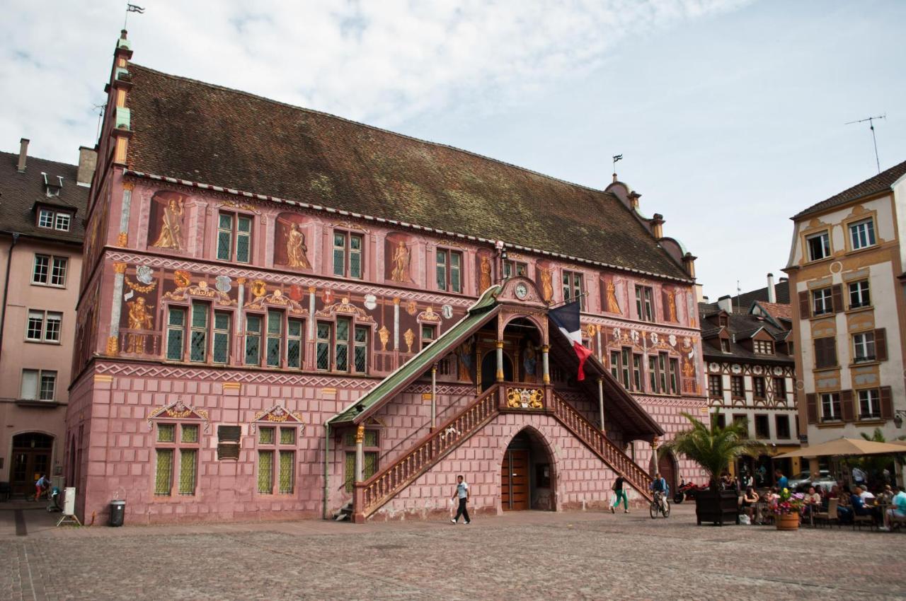 Chaleureux Duplex En Alsace Apartment *