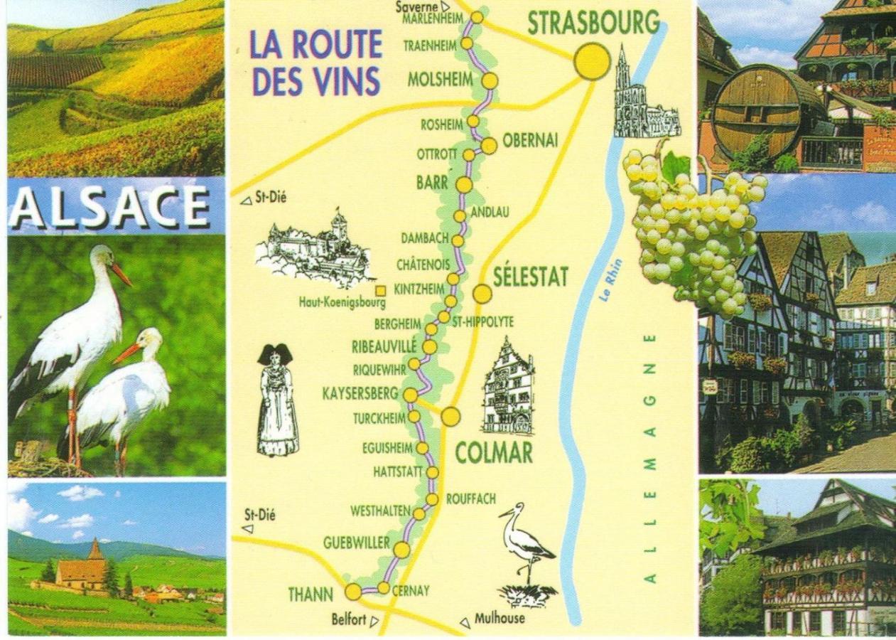 Apartment Chaleureux Duplex En Alsace *