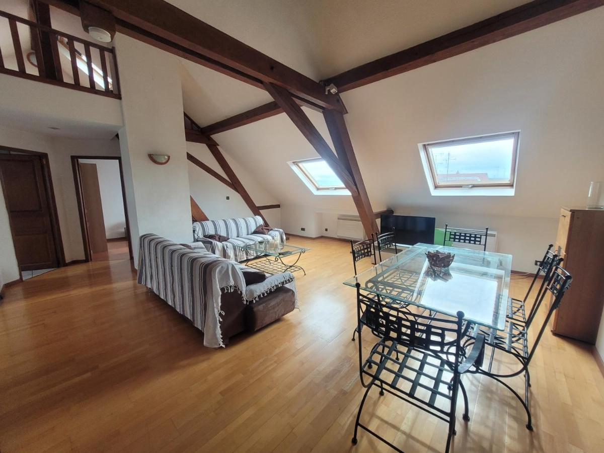Chaleureux Duplex En Alsace