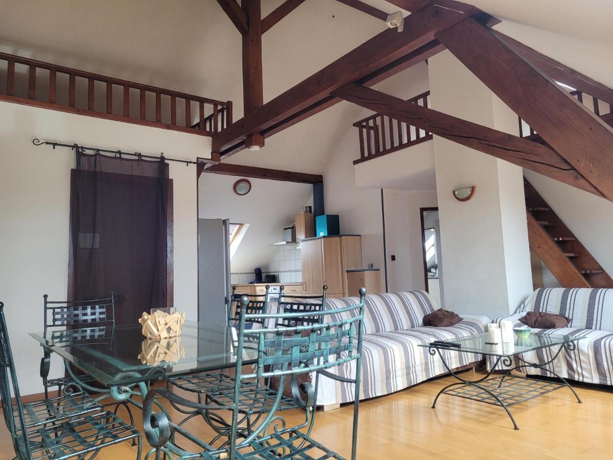 Apartment Chaleureux Duplex En Alsace *